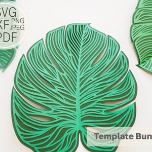 Paper Monstresa Leaf Template| SVG, DXF & PDF| Template|  Cricut and Cameo Silhouette| Tropical Leaf Template
