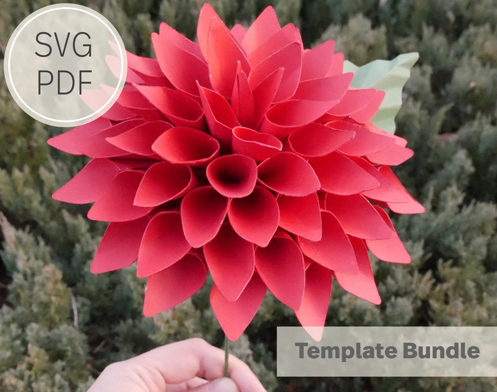5.5 Inches Paper Dahlia Template SVG &amp; Pdfcricut Machine - Etsy