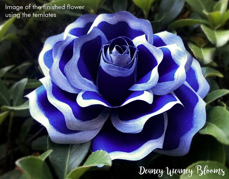 Download Diy Paper Rose Template Svg And Pdf Paper Flowers Cricut Svg Etsy