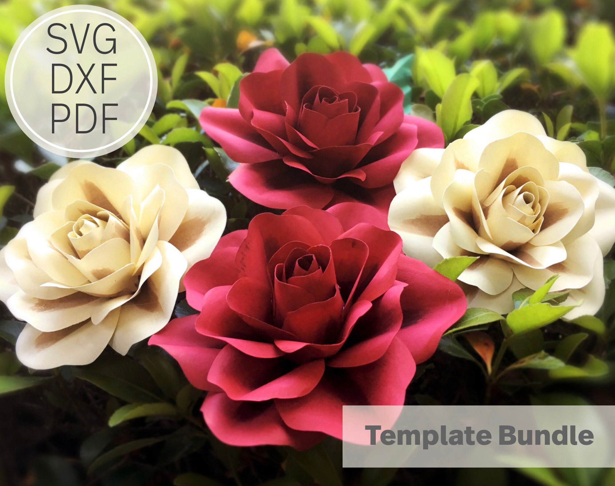 34 Inches Gardenia Paper Flower Rose Template SVG DXF & Etsy UK