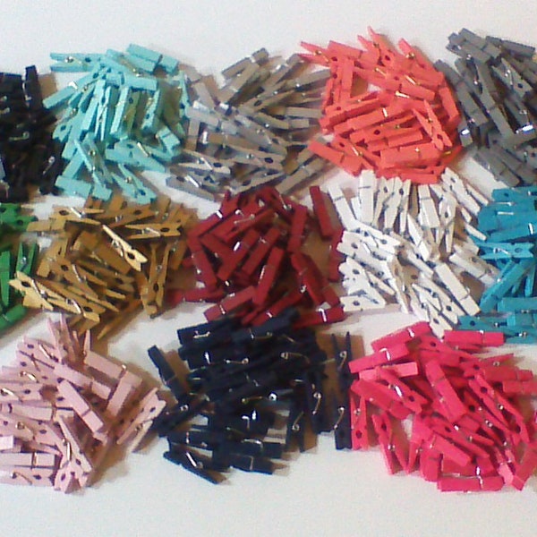 Mini Clothespins, Small Wood Clothespins, Tiny Colored Painted Clothespins, 1.5" Craft Suppy, Coral Silver Teal Gold Green Navy Blue Pink