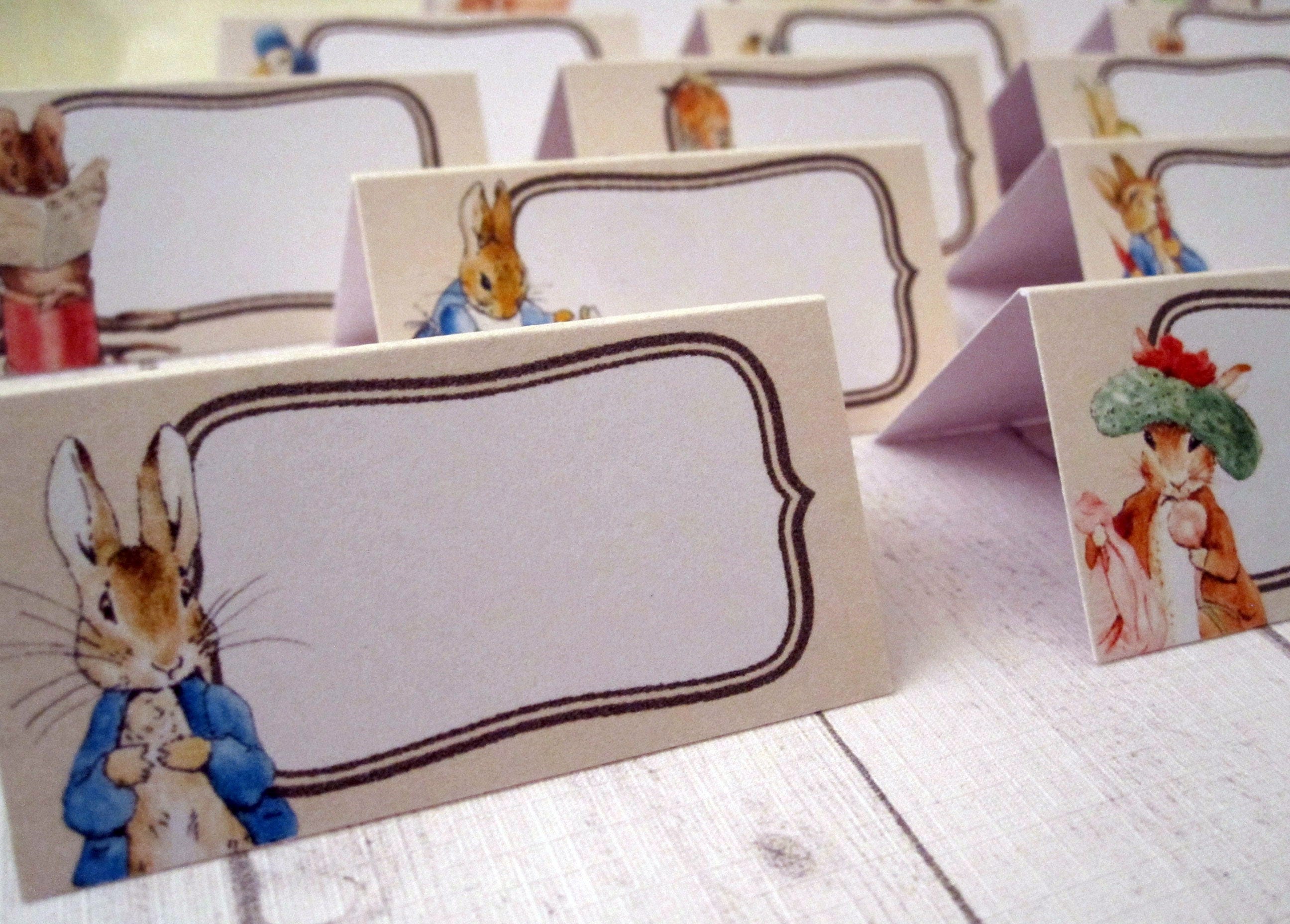 16 Peter Rabbit Place Name Cards Beatrix Potter Name Cards Etsy UK