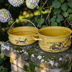 May include: Two yellow metal bowls with a distressed finish. The larger bowl features two side handles and the text "LA PORTE ST MARTIN" with a bird and fruit illustration. The smaller bowl has a wire handle and a matching bird graphic.