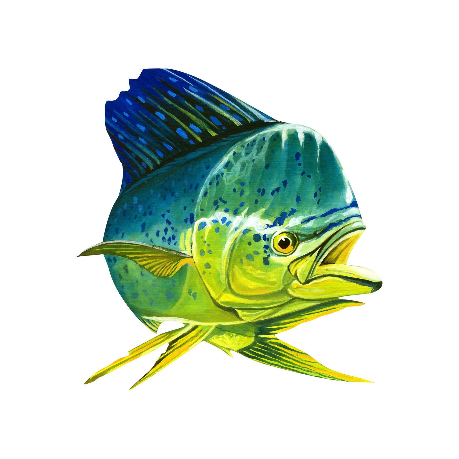 Mahi mahi decal fish sticker multicolored decal nature Etsy