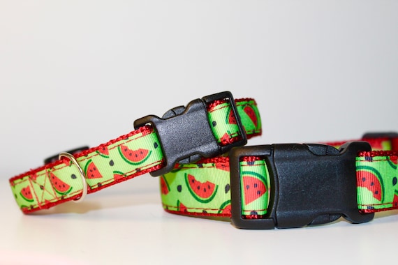 Cute dog cheap collars etsy