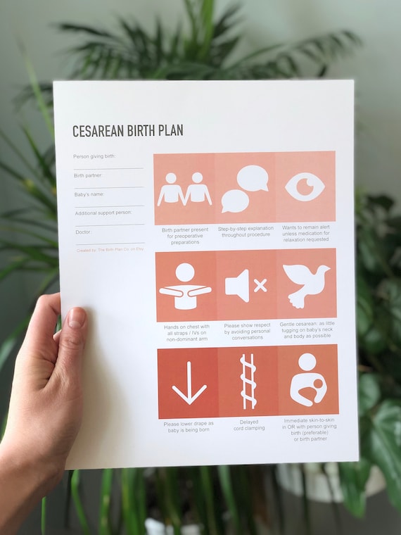 Instant Download C Section Visual Birth Plan Etsy
