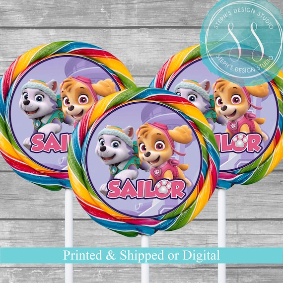 20 PAW PATROL BIRTHDAY PARTY FAVORS LOLLIPOP PARTY FAVORS STICKERS LABELS 2/"