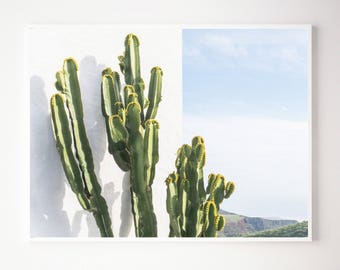 Cactus wall art print, printable cactus poster, desert photography, digital download, Instant download, cactus home decor, cactus wall decor