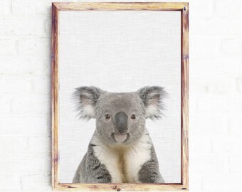 Koala Art Print, kids room decor, Australian animal print, Koala bear, nursery wall art poster, baby koala wall decor, koala bear wall art