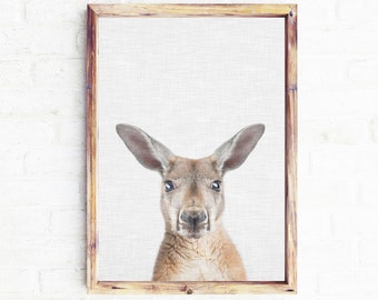 Australian animal prints, Kangaroo poster wall art, printable kids room large poster, animal photography, kangaroo printable art