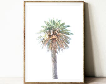 palm print, palm photography, beach wall art, California wall art, tropical decor, palm wall art print, palm wall decor, tropical print