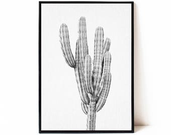 Cactus print black and white, printable cactus poster, instant download cactus wall art, black and white cactus photography, large wall art