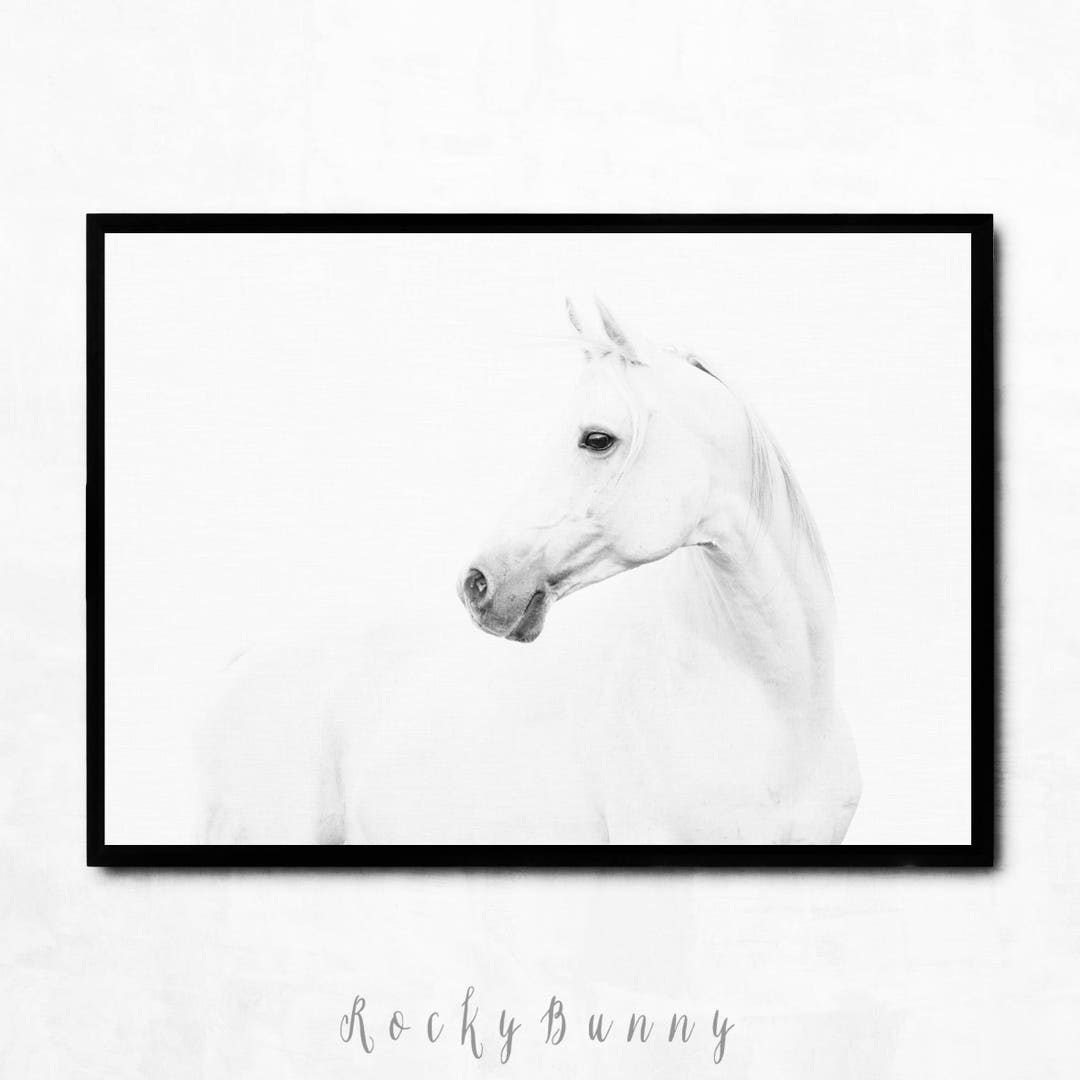Horse Printable Wall Art Poster, Horse Photography, Instant Download ...