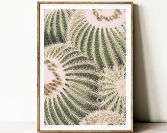 Printable cactus poster, digital download wall art, Instant download printable art, cactus home decor, wall decor, desert photography