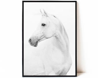 Horse print, printable wall art poster, black and white horse photography, instant download horse printable art, modern horse art, large art