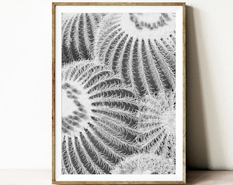 black and white cactus wall art print, cactus digital download, Instant download poster, home decor, wall decor, photography, desert print