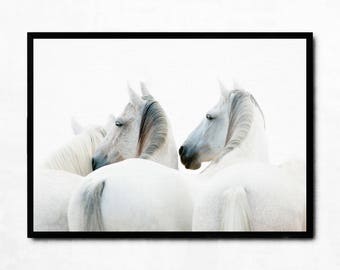 Horse printable poster, white horse wall art print, rear view of horse photography, black and white modern horse wall decor