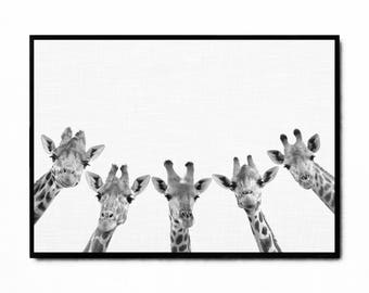 Giraffe print, nursery printable animal art, safari nursery wall art, baby room decor, black and white safari animal poster, large wall art