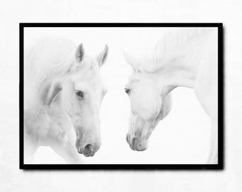 Printable horse art, large horse print, horse wall art poster, digital download poster, two white horses photography, modern animal print