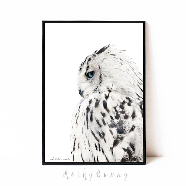 Owl wall art print, black and white printable poster, instant download bird printable art, modern owl print, modern animal wall art