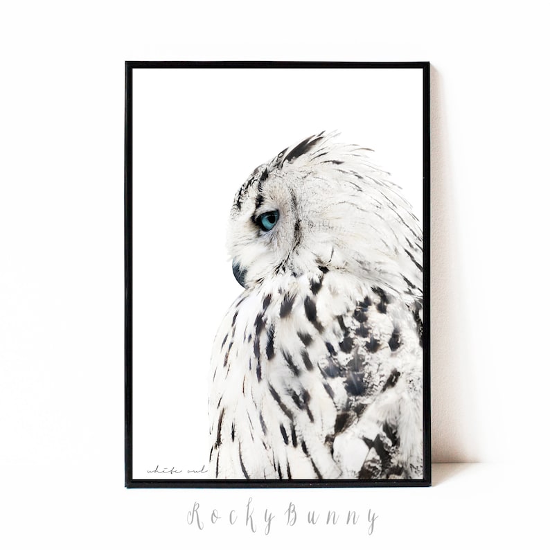 Owl Wall Art Print Black and White Printable Poster Instant Etsy Canada