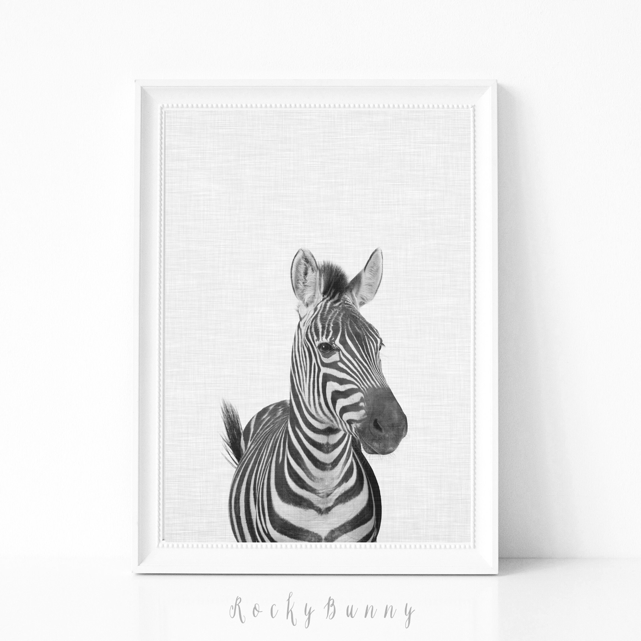 Modern Black and White Wall Art, Zebra Poster, Nursery Print, Modern