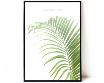 Palm leaf poster, printable wall art, tropical print, instant download printable art, digital download poster, botanical wall art print,
