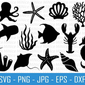 Paquete SVG de vida marina, SVG de animales marinos, SVG bajo el mar, silueta de pez, concha marina Png Dxf Eps Jpg