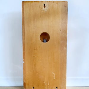 May include: A light wood wall mounted shelf with a circular hole in the center. The shelf has a small hole at the top for hanging.