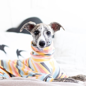 Cozy Dog Pajama – Soft Jersey Dog Jumpsuit – Warm Dog Clothes for Small Dogs – Puppy Sleepwear – Winter Dog Outfit – Pet Pajamas