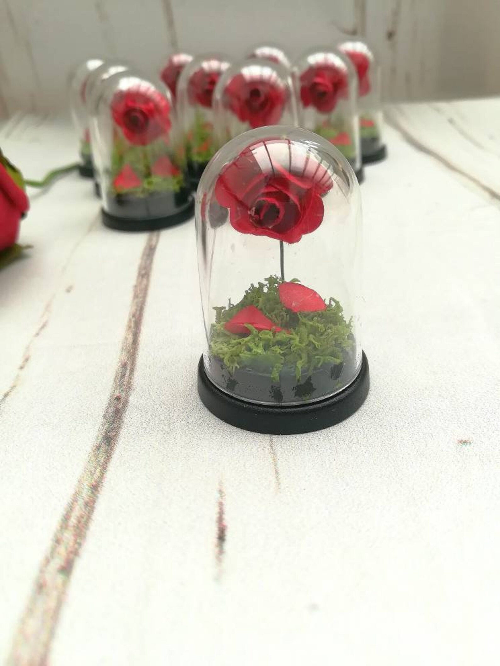 Mini rose dome wedding favours beauty and the beast wedding Etsy