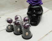 Gothic Wedding Favours,Mini Rose dome wedding, Gothic purple rose, Skull wedding, Gothic wedding, Alternative Wedding favours, Gothic bride