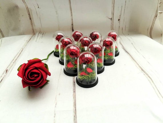 Mini Rose Kuppel Hochzeit Gefalligkeiten Schonheit Und Das Etsy