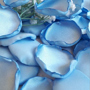 May include: A scattering of light blue satin rose petals. The petals are arranged in a random pattern on a white surface.