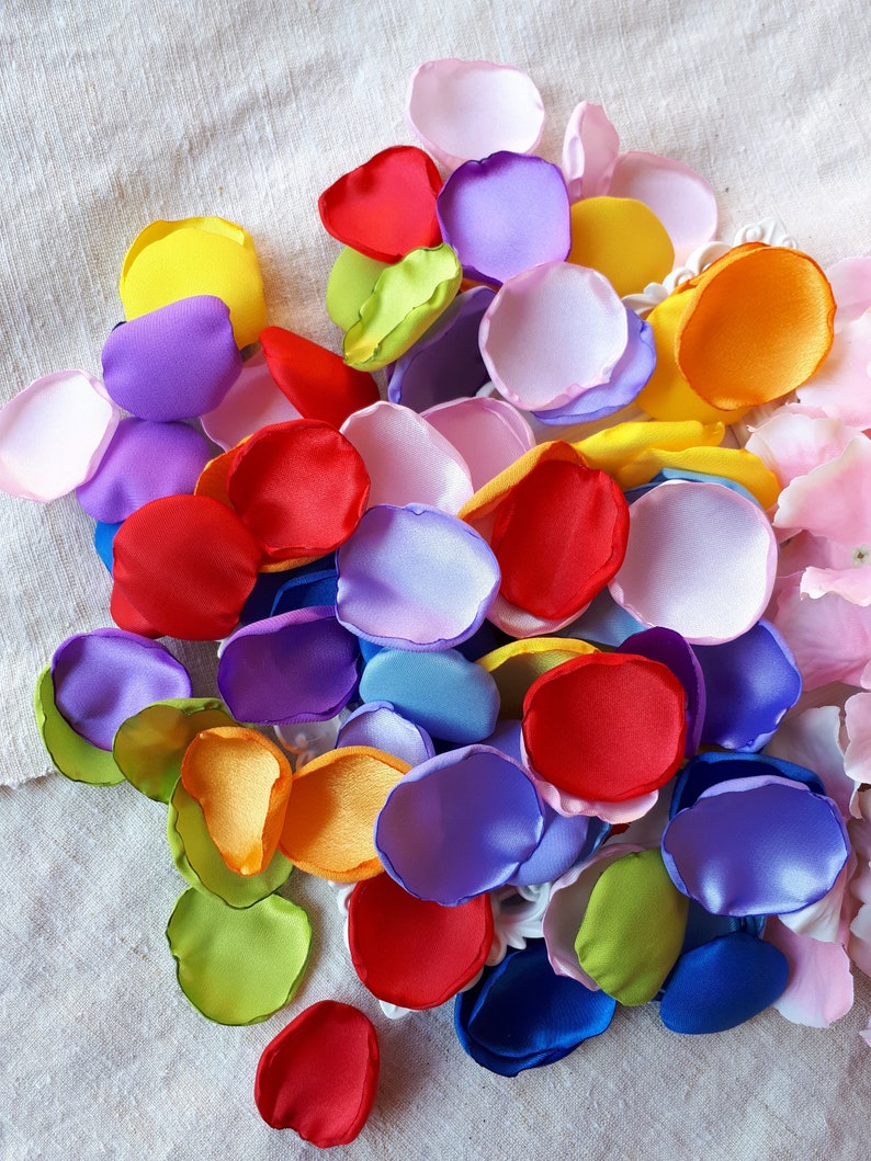 Up Movie Inspired Fairytale Themed Satin Rose Petals Rainbow Balloons Adventure Wedding Theme Party Rainbow Baby Shower Unicorn Birthday