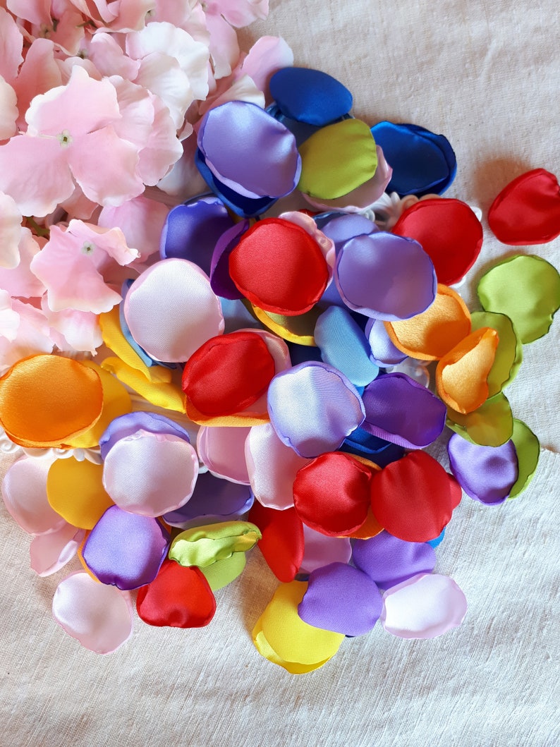 Up Movie Inspired Fairytale Themed Satin Rose Petals Rainbow Balloons Adventure Wedding Theme Party Rainbow Baby Shower Unicorn Birthday