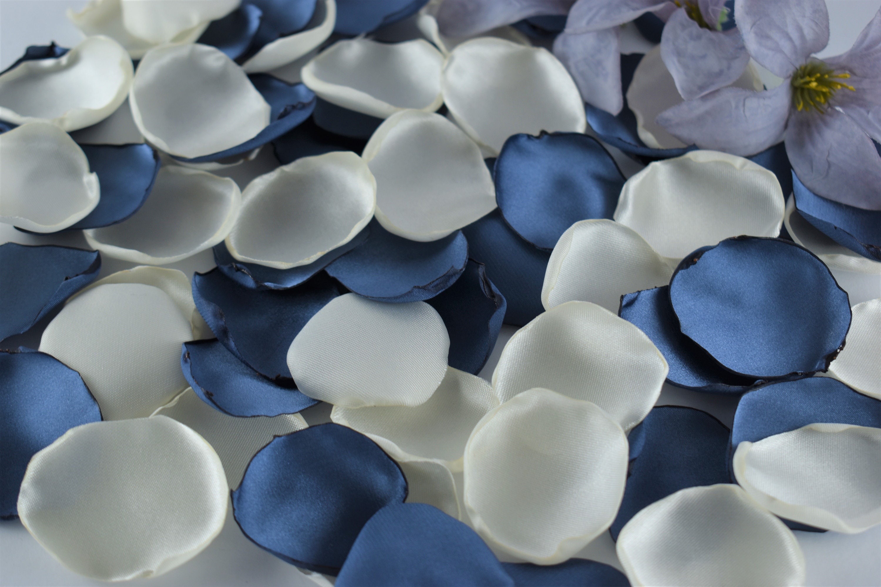 Steel Blue Rose Petals Ivory Flower Petals Steel Blue Wedding Etsy