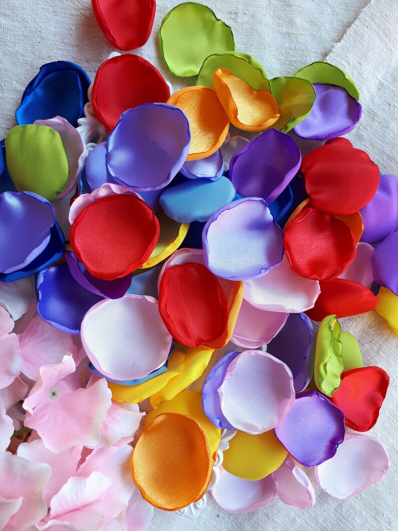 Up Movie Inspired Fairytale Themed Satin Rose Petals Rainbow Balloons Adventure Wedding Theme Party Rainbow Baby Shower Unicorn Birthday