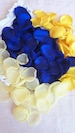 Royal Blue & Yellow Satin Rose Petals Sunflower Wedding Yellow and Blue Bridal Shower Daffodil Spring Party Decor Aisle Runner Decor
