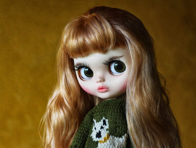 Sold Out Custom Blythe Doll Alexa Etsy