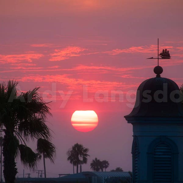 Palms and Weather Vane at Sunset Digital Photo Download