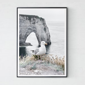 Etretat Seagull Photo Print: Normandie Coast Wall Art (Digital Prints)