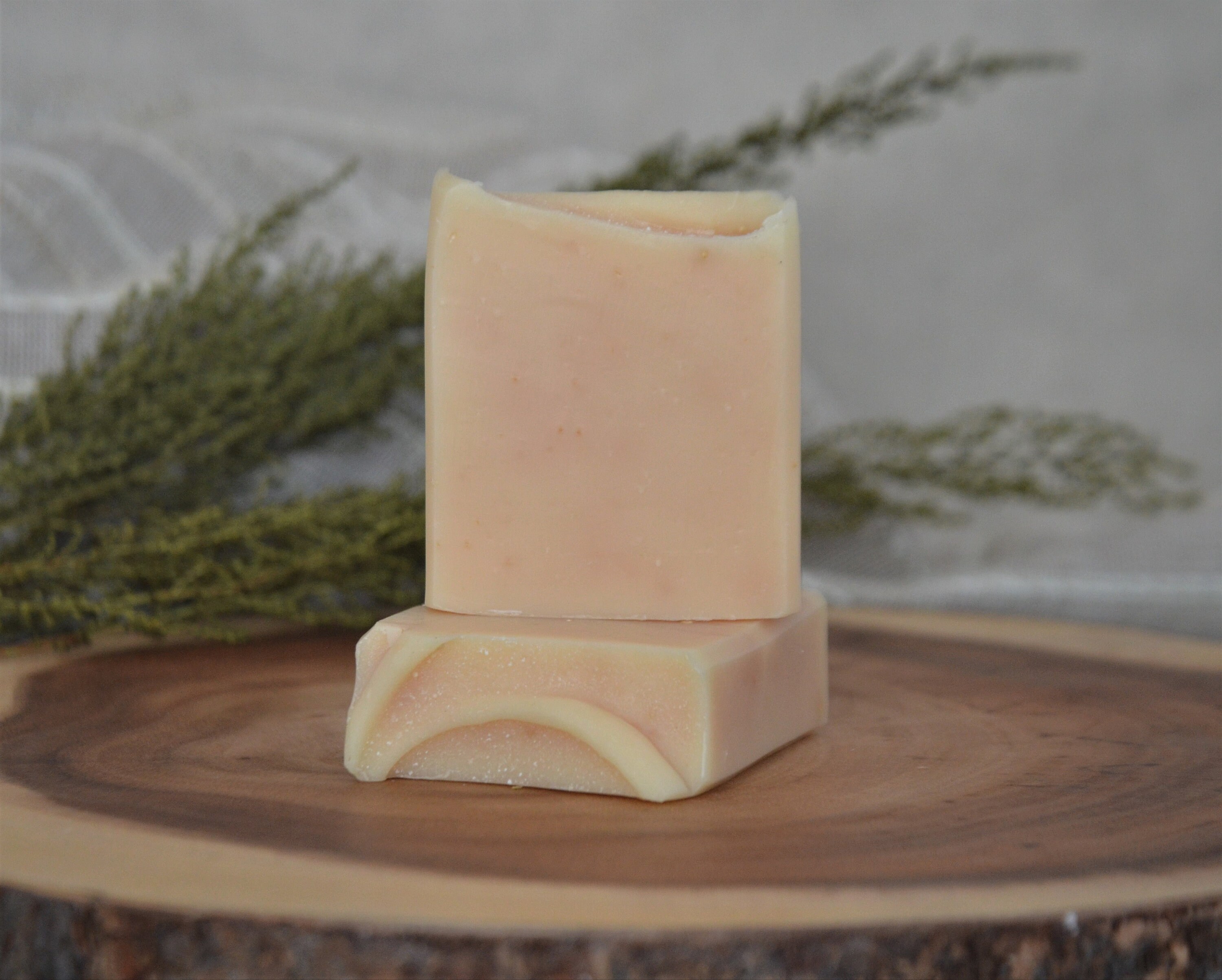 Doggy Detergent Natural Vegan Handmade Dog Bar Soap with Etsy