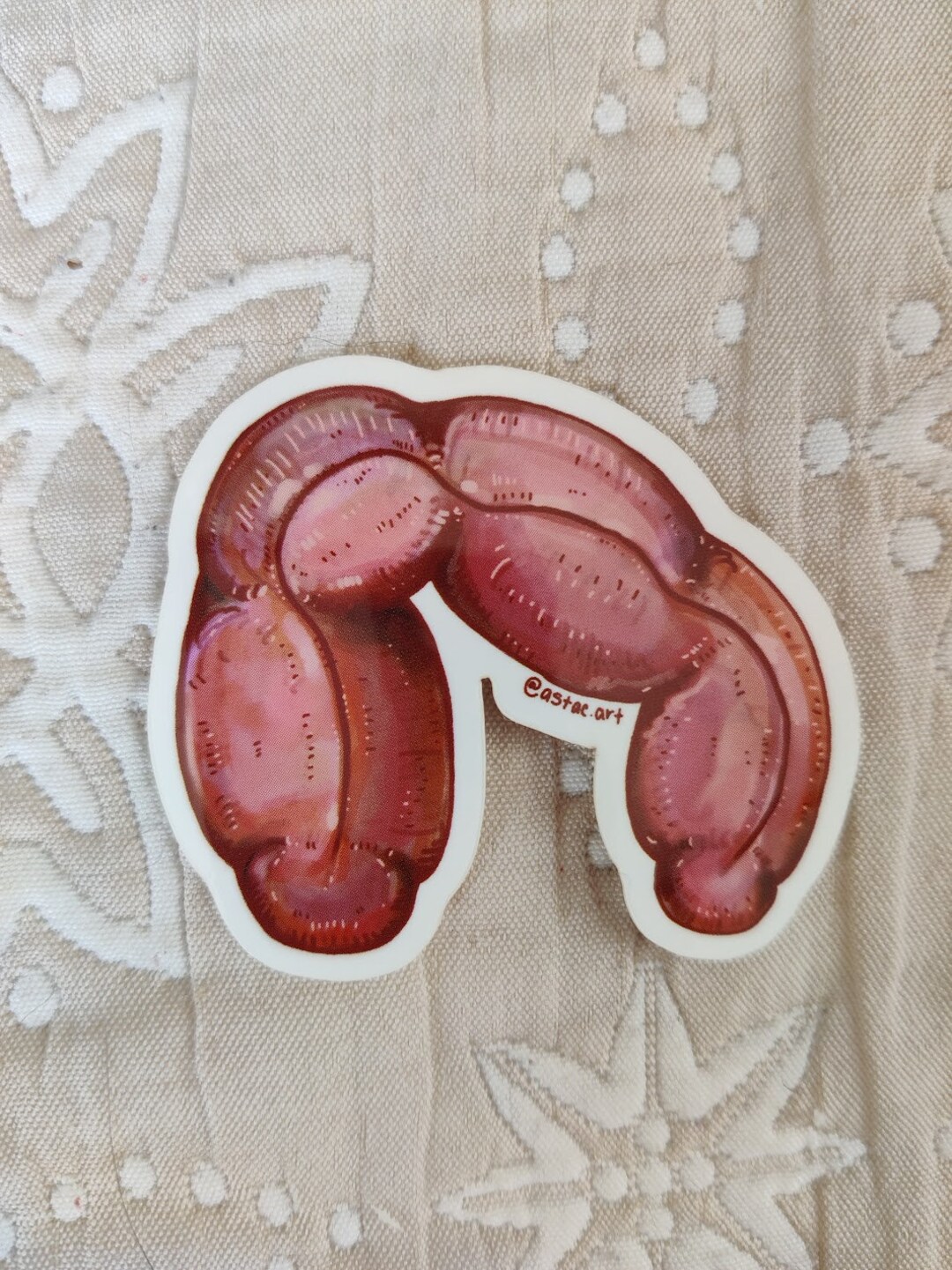 Intestine Sticker Intestine Sticker - Etsy