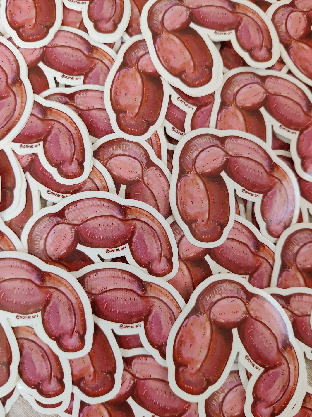Intestine Sticker Intestine Sticker - Etsy