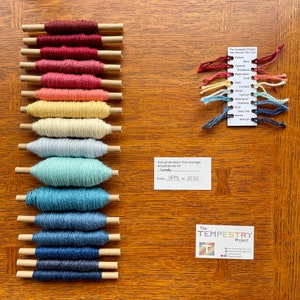 Country New Normal Tempestry Knit & Crochet Kits
