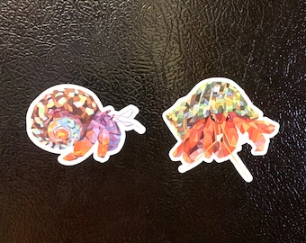 Hermit Crab Magnets - Strawberry Hermit Crab Magnet, Purple Pincher Hermit Crab Magnet