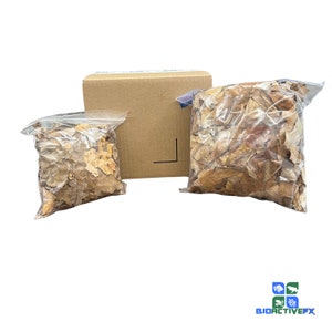 May include: Two bags of dried brown leaves in clear plastic bags and a brown cardboard box. The bags are filled with leaves that are various shades of brown and tan.