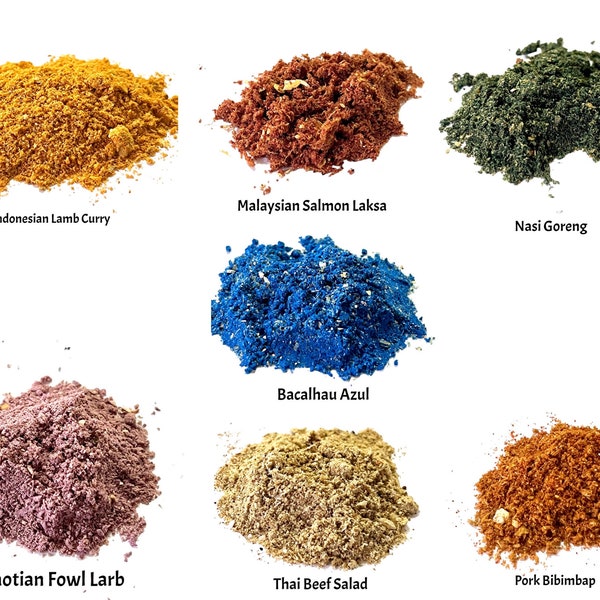 Land Hermit Crab Etsy