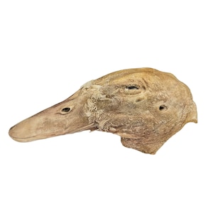 May include: A close-up of a dried duck head with a light brown color. The head is tilted to the side, and the beak is slightly open. The eyes are closed, and the feathers are visible around the head.
